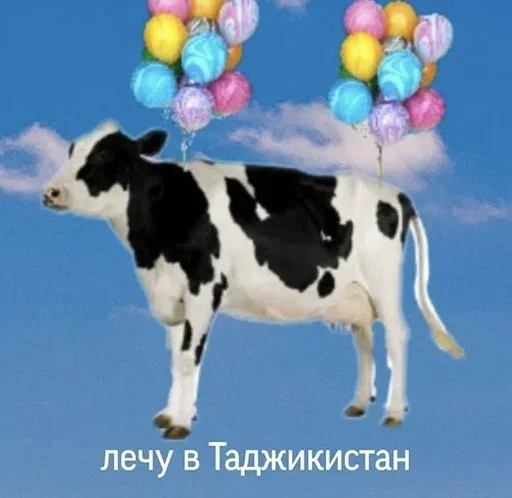 🐄 Стикер «Всратая жость» для Telegram