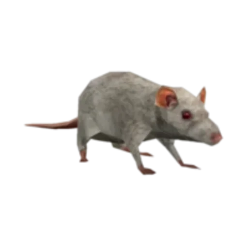 🐁 Стикер «rins» для Telegram