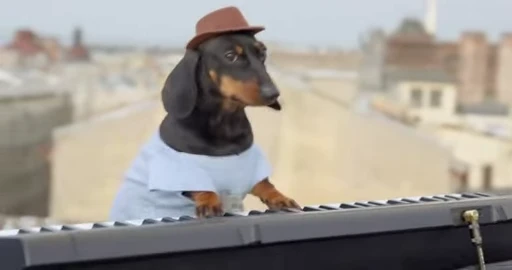 🎹 Стикер «doggies» для Telegram