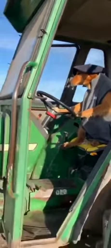🚜 Стикер «doggies» для Telegram