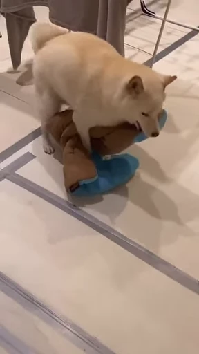🍌 Стикер «doggies» для Telegram