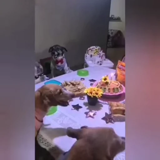 🥳 Стикер «doggies» для Telegram
