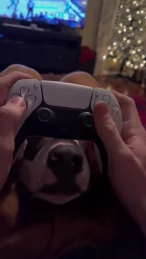 🎮 Стикер «doggies» для Telegram