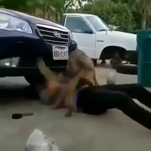 🔧 Стикер «doggies» для Telegram