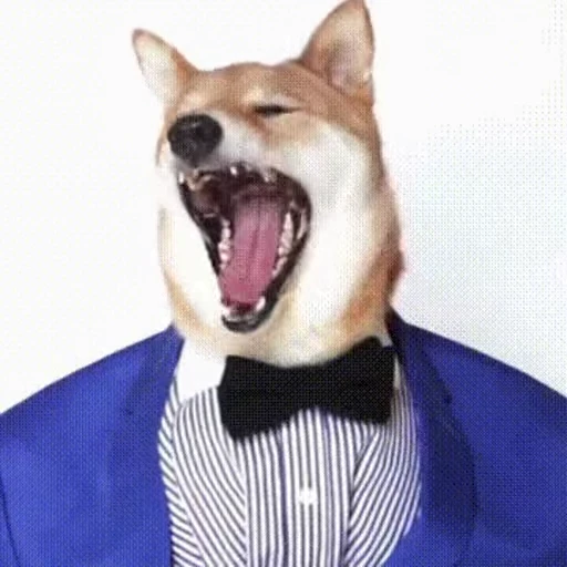 😛 Стикер «doggies2» для Telegram