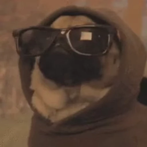 🕶 Стикер «doggies2» для Telegram
