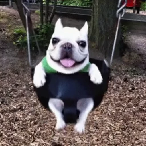 😃 Стикер «doggies2» для Telegram