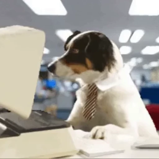 💻 Стикер «doggies2» для Telegram