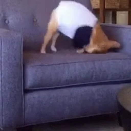 🥴 Стикер «doggies2» для Telegram