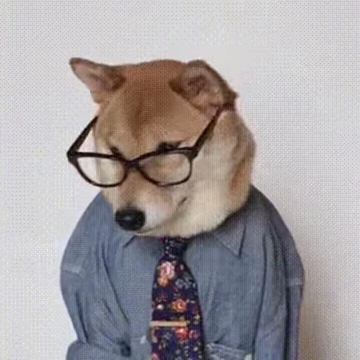 👓 Стикер «doggies2» для Telegram