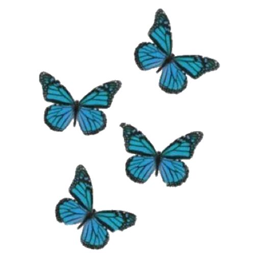 🦋 Стикер «diaabblo» для Telegram