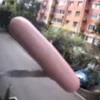 Стикер 43 Дичь