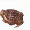 Стикер 4 Дичь