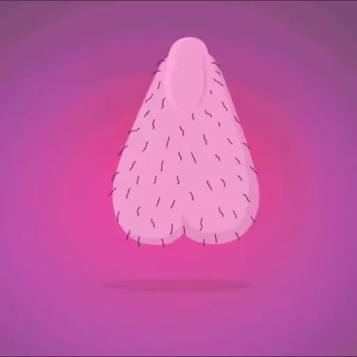 🍆 Стикер «Dick» для Telegram