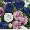 Стикер 19 different spring