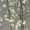 Стикер 10 different spring