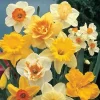 Стикер 30 different spring