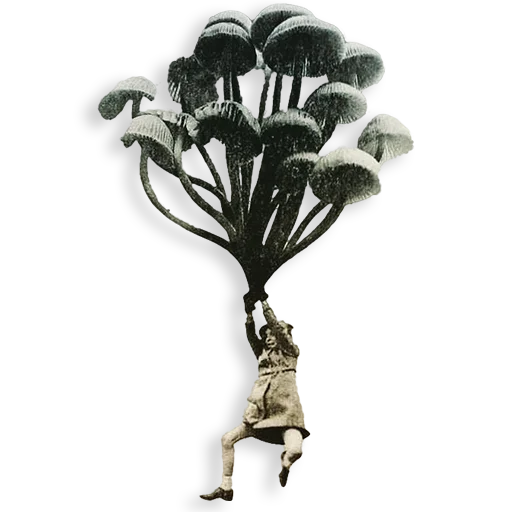 ☂️ Стикер «Dildobelism» для Telegram