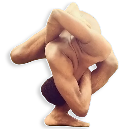 🥨 Стикер «Dildobelism» для Telegram