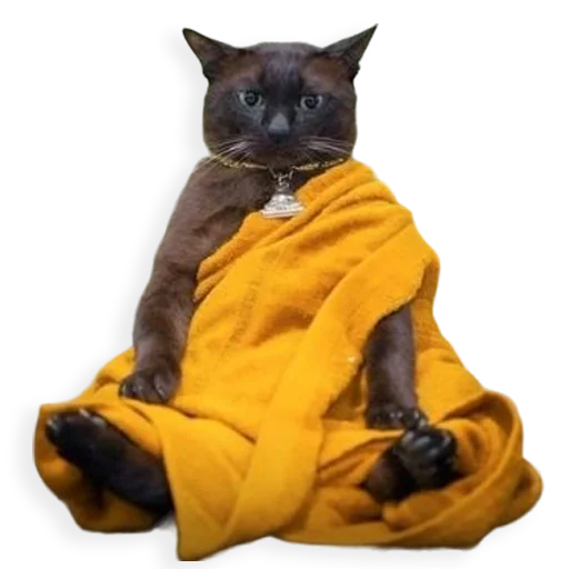 😼 Стикер «Dildobelism» для Telegram