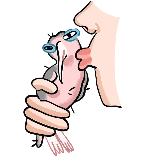 😘 Эмодзи «Дима» для Telegram