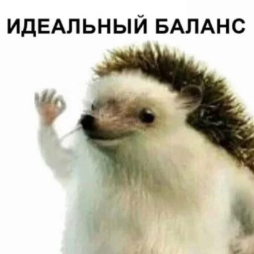 ❤️ Стикер «Димасик» для Telegram