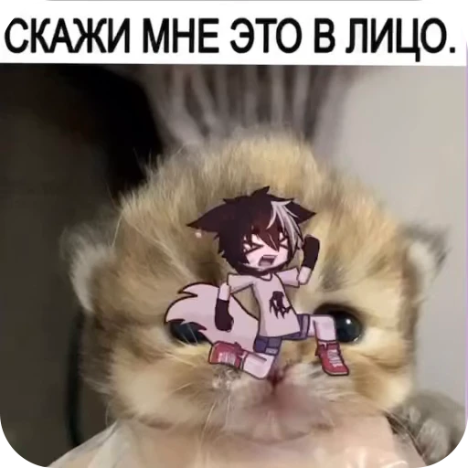 🌟 Стикер «ZXC» для Telegram