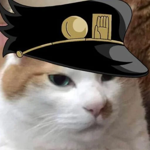 😾 Стикер «Гондопляс» для Telegram