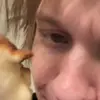 Стикер 9 дипинс