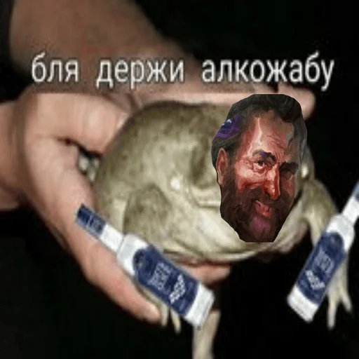🐸 Стикер «Рафаэль Амброзиус Кусто» для Telegram