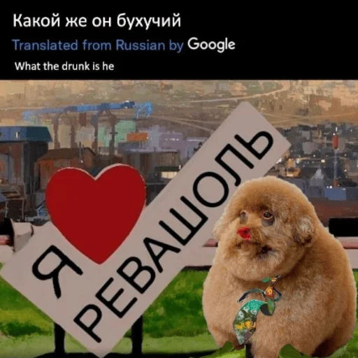 ❤️ Стикер «Рафаэль Амброзиус Кусто» для Telegram