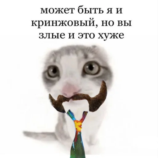 😝 Стикер «Рафаэль Амброзиус Кусто 2» для Telegram