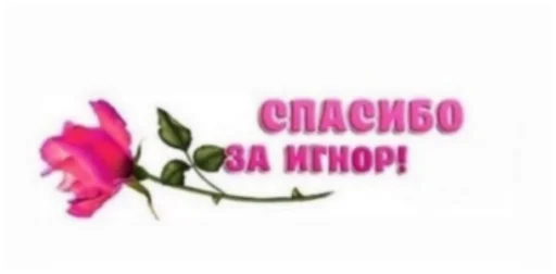 🥰 Стикер «discoбомж» для Telegram