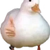 Стикер 39 Daily Emoji