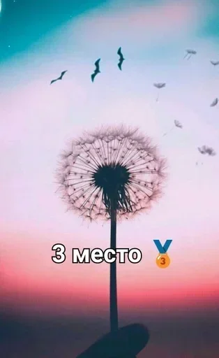 🥉 Стикер «Disney 56 80» для Telegram