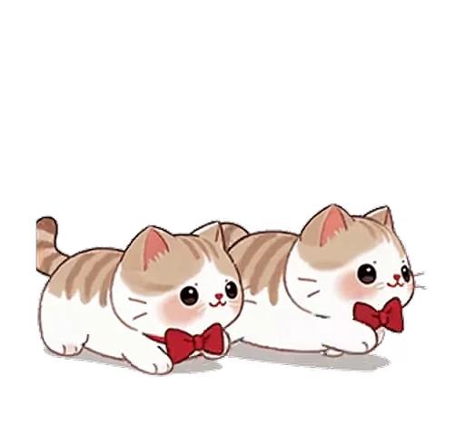 😊 Стикер «Distant Apricot Cat» для Telegram