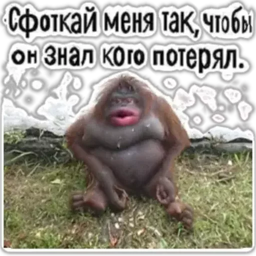 🕸 Стикер «distortion_level_45» для Telegram