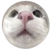 🐱 Эмодзи «dive» для Telegram