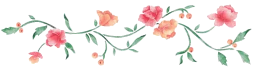 〰 Стикер «Divisores (20ePoucosAnos)» для Telegram