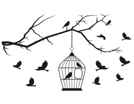 〰 Стикер «Divisores (20ePoucosAnos)» для Telegram