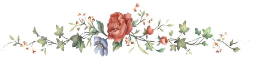 〰 Стикер «Divisores (20ePoucosAnos)» для Telegram