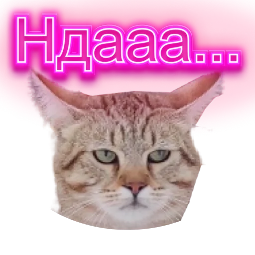 😒 Стикер «DIXIEEE» для Telegram