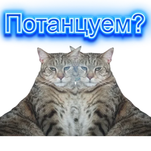 💃 Стикер «DIXIEEE» для Telegram