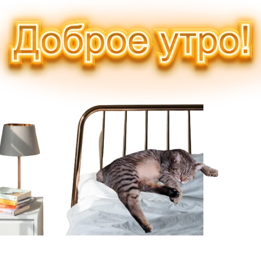 🌇 Стикер «DIXIEEE» для Telegram