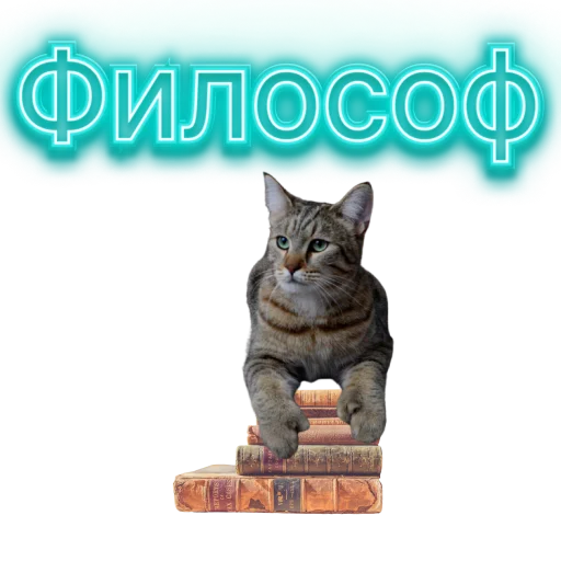 🙉 Стикер «DIXIEEE» для Telegram