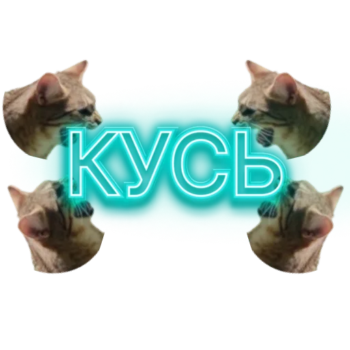 😝 Стикер «DIXIEEE» для Telegram
