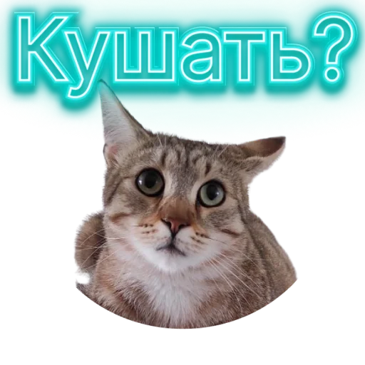 🥹 Стикер «DIXIEEE» для Telegram