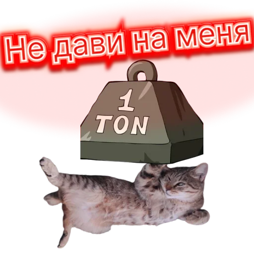 🥵 Стикер «DIXIEEE» для Telegram
