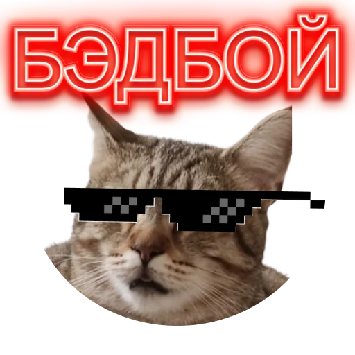 💣 Стикер «DIXIEEE» для Telegram