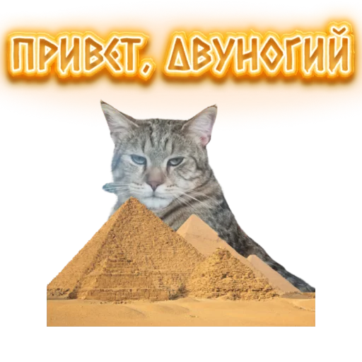 ⛺ Стикер «DIXIEEE» для Telegram